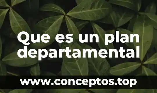Que es un plan departamental