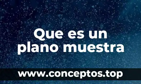 Que es un plano muestra