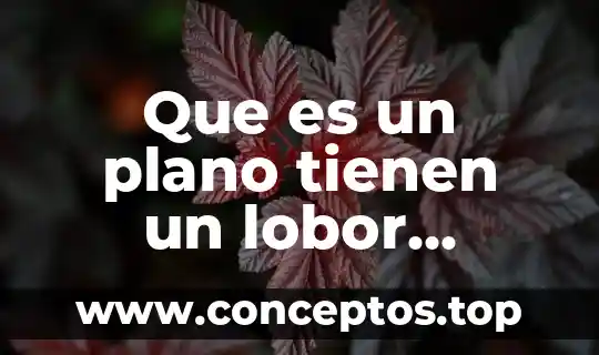 Que es un plano tienen un lobor historico