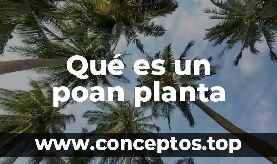 Qué es un poan planta