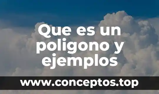 Que es un poligono y ejemplos