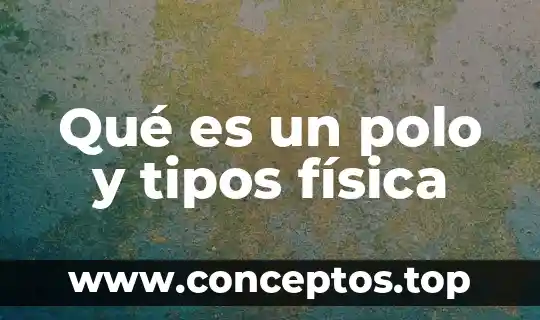 Qué es un polo y tipos física