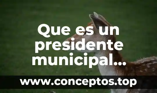 Que es un presidente municipal funcion principal del presidente municipal