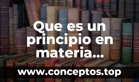 Que es un principio en materia juridica