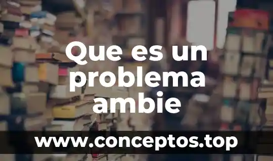 Que es un problema ambie