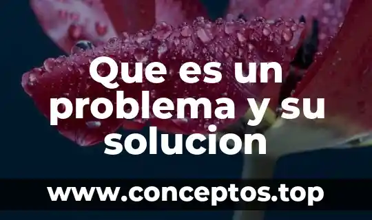 Que es un problema y su solucion