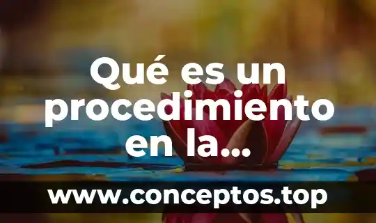 Qué es un procedimiento en la administración