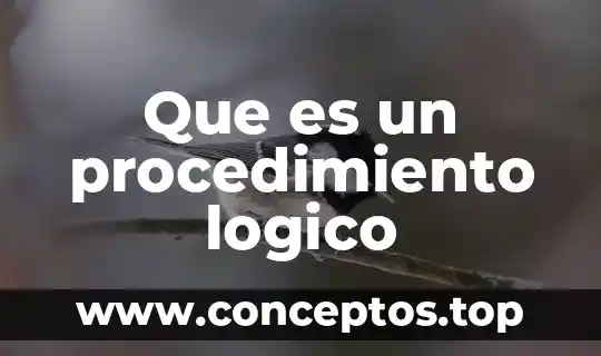 Que es un procedimiento logico