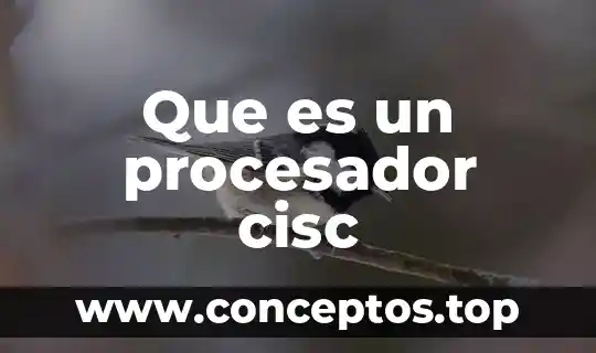 Que es un procesador cisc