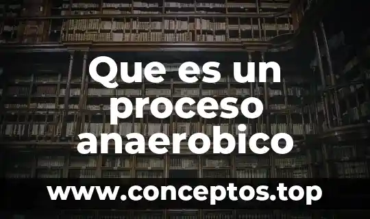 Que es cantinflear significado 6 Que es un proceso anaerobico