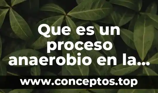 Que es un proceso anaerobio en la fermentacion