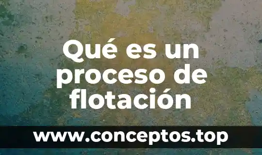 Que es el proceso de direccion 6 Qué es un proceso de flotación
