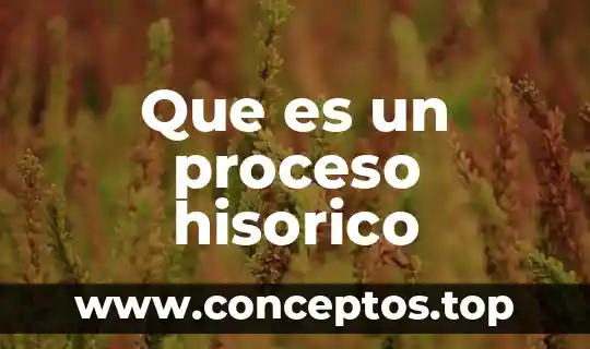 Que es el proceso de direccion 5 Que es un proceso hisorico