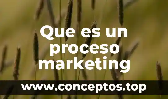 Que es un proceso marketing