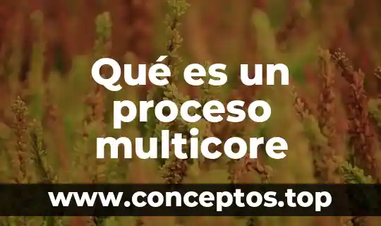 Qué es un proceso multicore