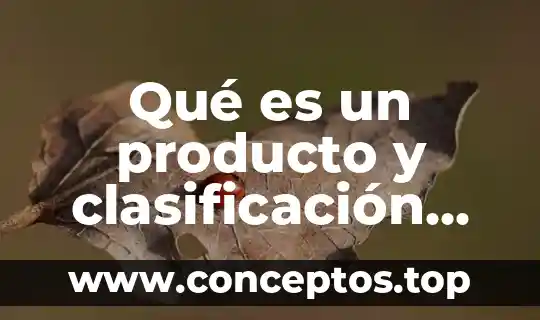 Que es el nombre del producto 5 Qué es un producto y clasificación mercadotecnia