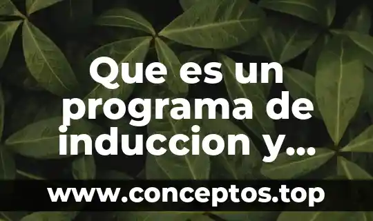 Que es capacitacion y tipos de capacitacion 6 Que es un programa de induccion y capacitacion