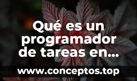 Qué es un programador de tareas en informática