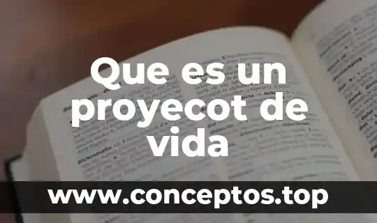 Qué es evolución en ciclo de vida 8 Que es un proyecot de vida