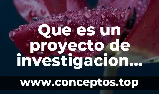 Administracion que es ppt 8 Que es un proyecto de investigacion ppt