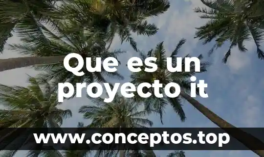 Que es un proyecto it