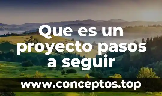 Que es un proyecto pasos a seguir