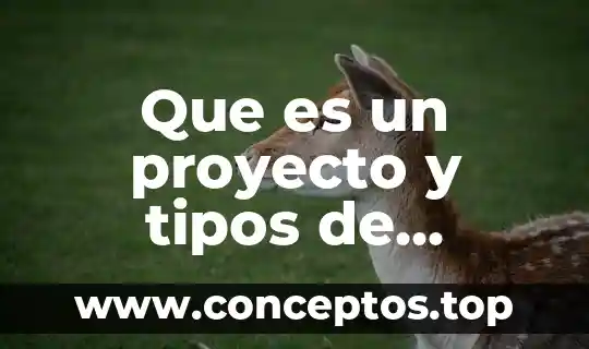 Que es un proyecto y tipos de proyecto
