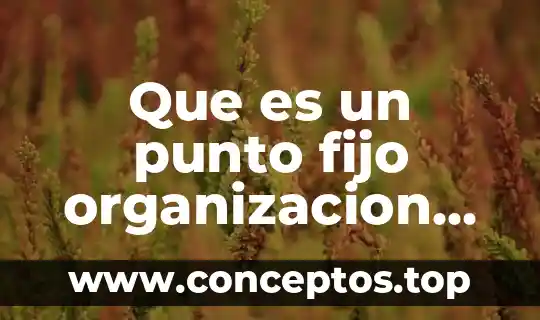 Que es un punto fijo organizacion de computadoras