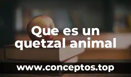Que es un quetzal animal