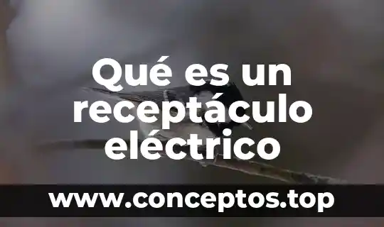 Que es un servomecanismo electrico 4 Qué es un receptáculo eléctrico