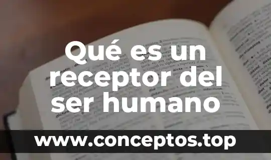 Qué es un receptor del ser humano