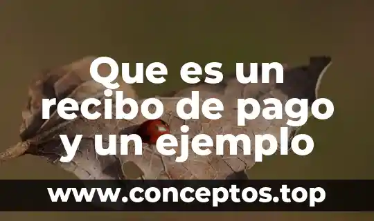 Que es nombre del servicio en recibo de la luz 5 Que es un recibo de pago y un ejemplo