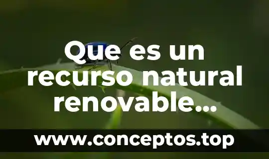 Que es un recurso natural renovable ejemplos