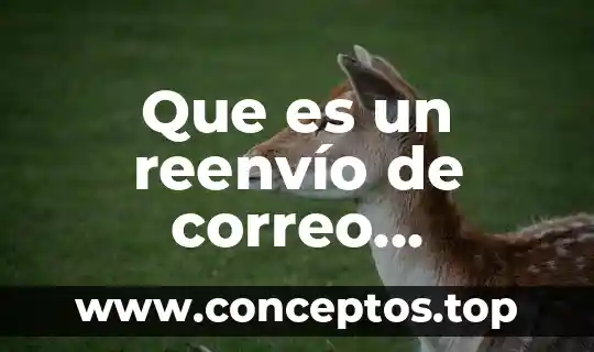 Servidor de correo electrónico entrante que es que significa 6 Que es un reenvío de correo electronico