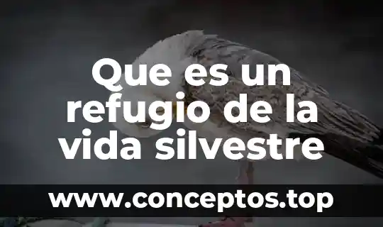 Que es un refugio de la vida silvestre