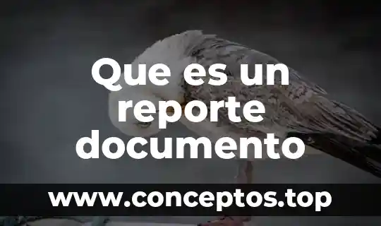Que es un reporte documento