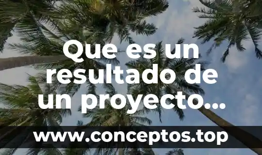 Que es un resultado de un proyecto integral