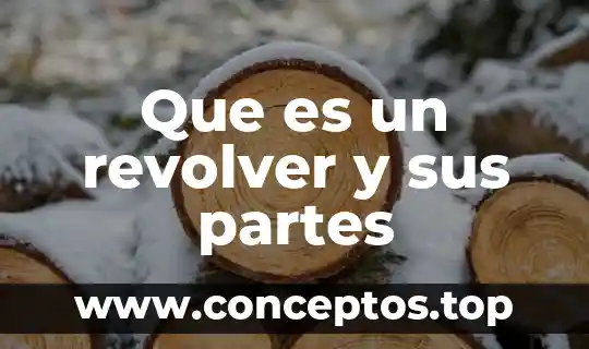Que es un revolver y sus partes