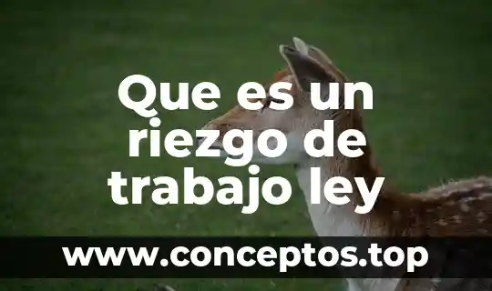 Que es un riezgo de trabajo ley
