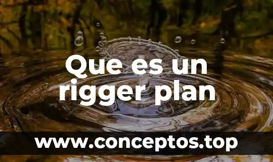 Que es un rigger plan