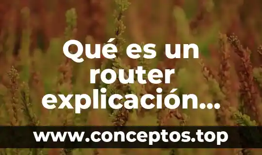 Qué es un router explicación para niños