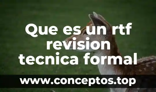Que es un rtf revision tecnica formal