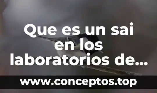Qué es el sai en la salud 3 Que es un sai en los laboratorios de computo