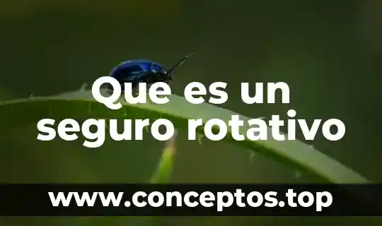 Que es un seguro rotativo