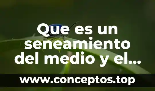 Que es un seneamiento del medio y el agua