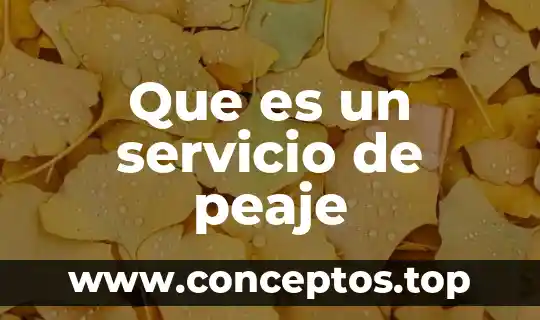 Que es un servicio ininterrumpido 3 Que es un servicio de peaje
