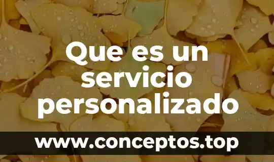 Que es un servicio de peaje 3 Que es un servicio personalizado