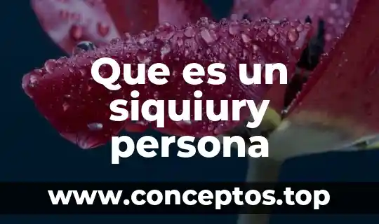 Que es un siquiury persona