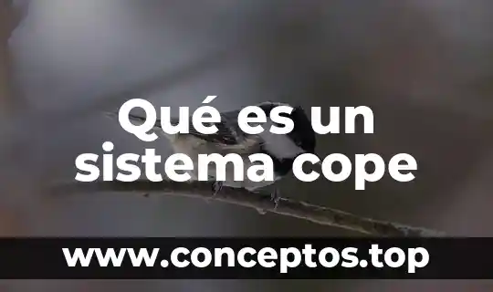 Que es sistema animal 3 Qué es un sistema cope