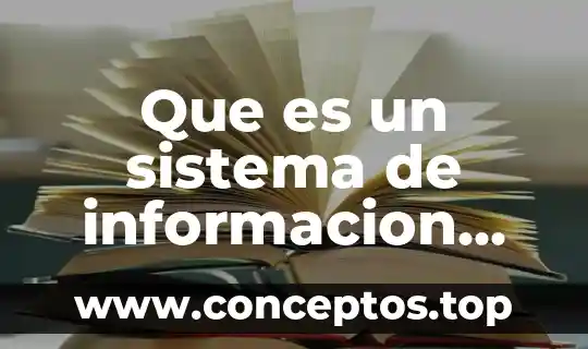 Shampoo sistema gb que es 5 Que es un sistema de informacion paragv